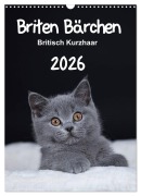 Cover-Bild zum Titel 'Briten Bärchen - Britisch Kurzhaar 2026 (Wandkalender 2026 DIN A3 hoch), CALVENDO Monatskalender' von 'Heidi Bollich'