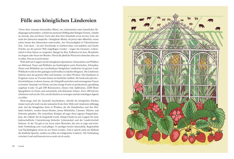 InsideView 5