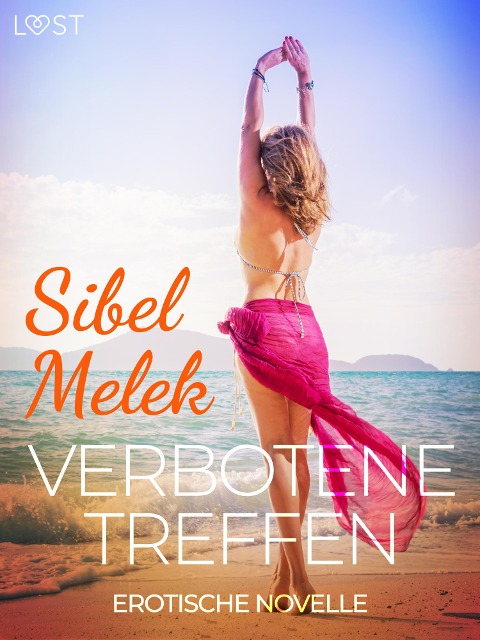 Verbotene Treffen - Erotische Novelle - Sibel Melek