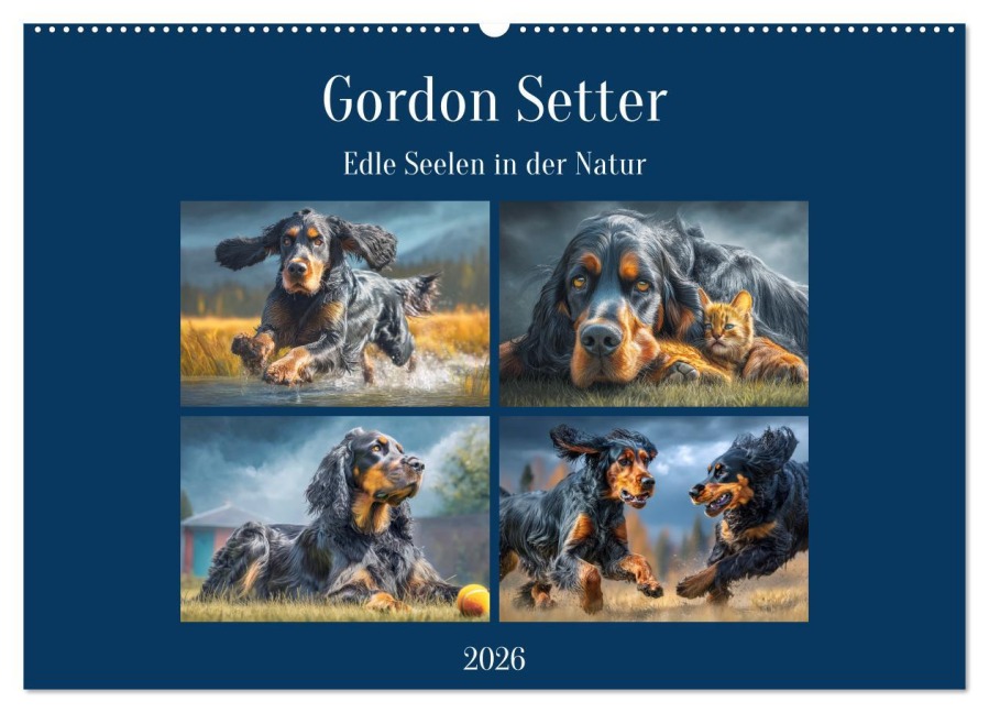 Gordon Setter. Edle Seelen in der Natur (Wandkalender 2026 DIN A2 quer), CALVENDO Monatskalender - Rose Hurley