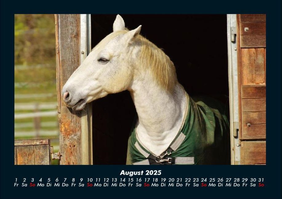 InsideView 12