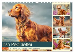 Irish Red Setter. Wo noble Eleganz auf Tatendrang trifft (Wandkalender 2026 DIN A3 quer), CALVENDO Monatskalender - Rose Hurley