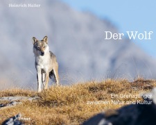 Cover-Bild zum Titel 'Der Wolf' von 'Heinrich Haller'