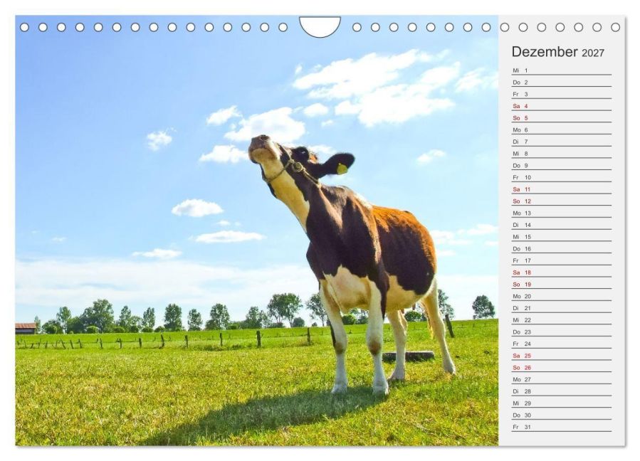 InsideView 4