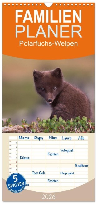 Familienplaner 2026 - Polarfuchs-Welpen mit 5 Spalten (Wandkalender, 21 x 45 cm) CALVENDO - Judith Kuhn