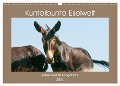 Kunterbunte Eselwelt - Liebenswerte Langohren (Wandkalender 2024 DIN A3 quer), CALVENDO Monatskalender - Meike Bölts