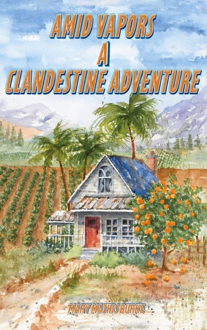 Amid Vapors A Clandestine Adventure - Mary Mathis Burke