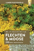 Cover-Bild zum Titel 'Flechten und Moose' von 'Volkmar Wirth, Steffen Caspari, Ruprecht Düll'