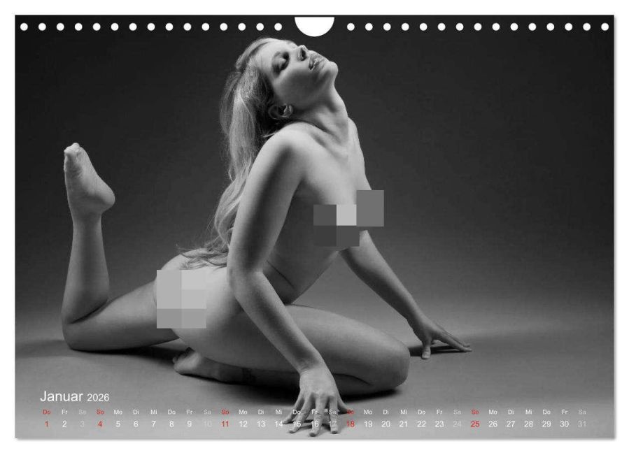 InsideView 6