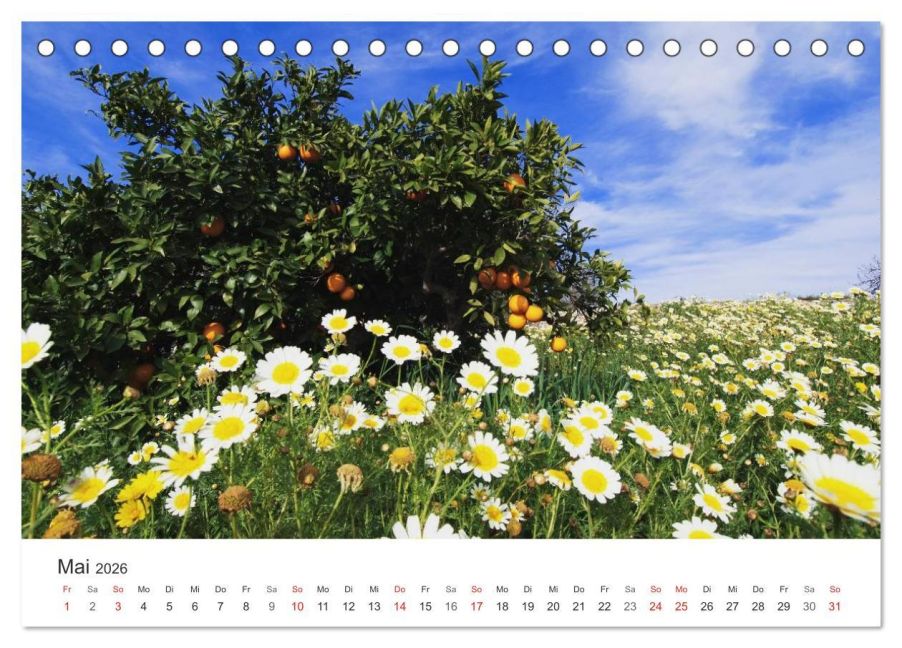InsideView 10