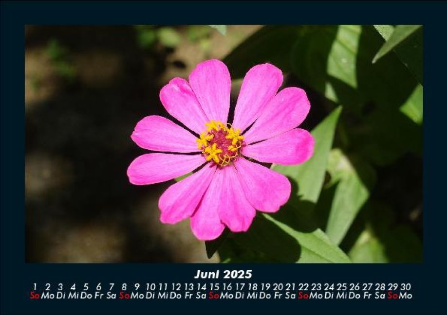 InsideView 10