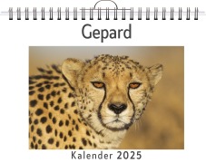 Cover-Bild zum Titel 'Gepard' von 'Elias Keller'