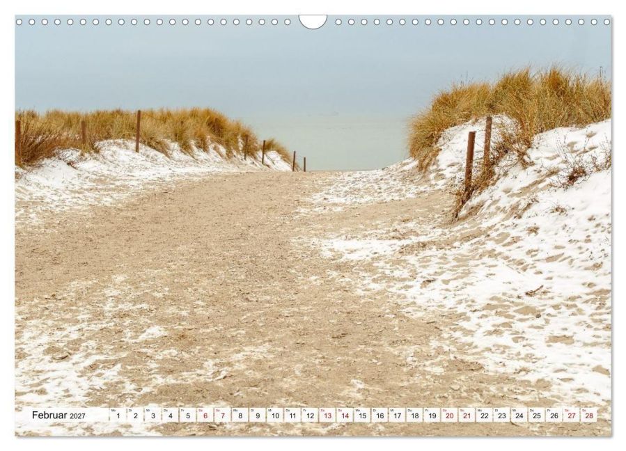InsideView 7