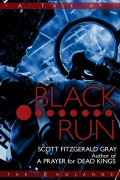 Cover-Bild zum Titel 'Black Run (Tales of the Endlands, #10)' von 'Scott Fitzgerald Gray'