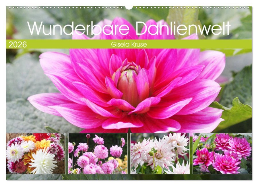 Wunderbare Dahlienwelt (Wandkalender 2026 DIN A2 quer), CALVENDO Monatskalender - Gisela Kruse