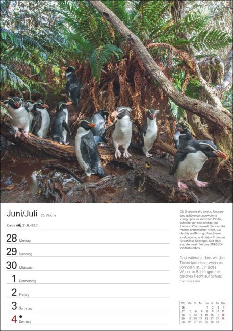 InsideView 7