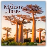 The Majesty of Trees - Die Erhabenheit der Bäume 2026 - 16-Monatskalender - Browntrout Publishers