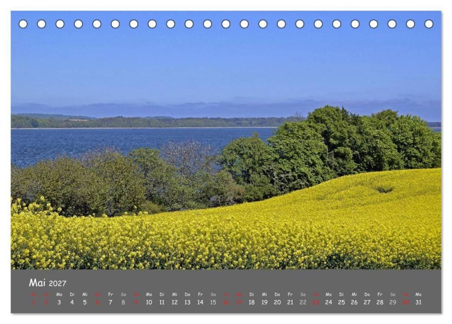 InsideView 10