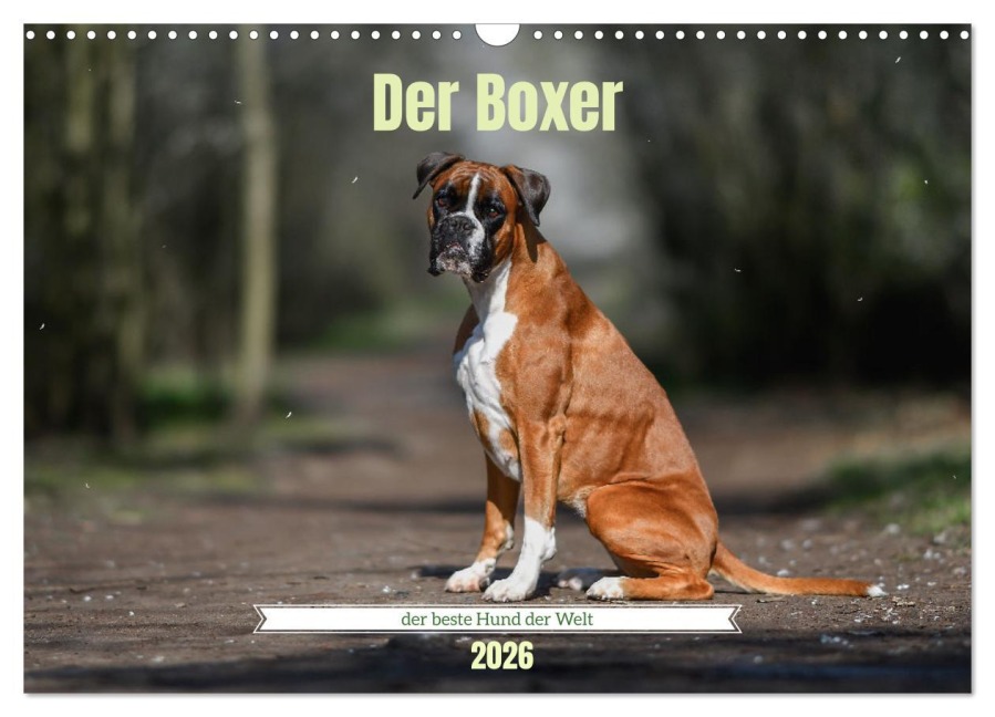 Der Boxer, der beste Hund der Welt (Wandkalender 2026 DIN A3 quer), CALVENDO Monatskalender - Yvonne Janetzek