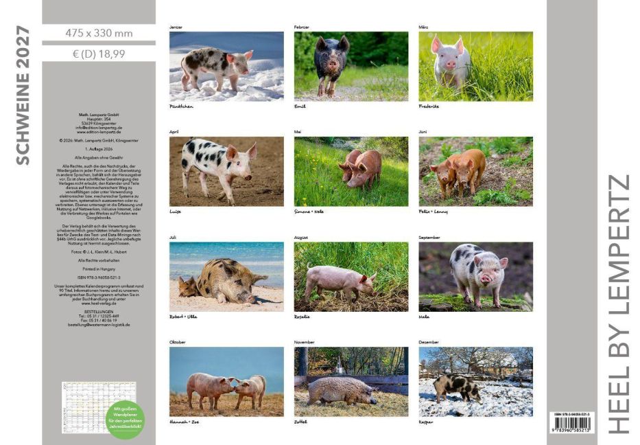 InsideView 13