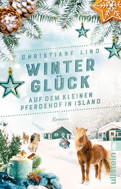 Winterglück auf dem kleinen Pferdehof in Island - Christiane Lind