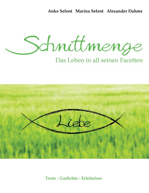 Schnittmenge Liebe - 