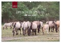 Dülmener Pferde, wild und schön (Wandkalender 2025 DIN A2 quer), CALVENDO Monatskalender - Angelika Keller