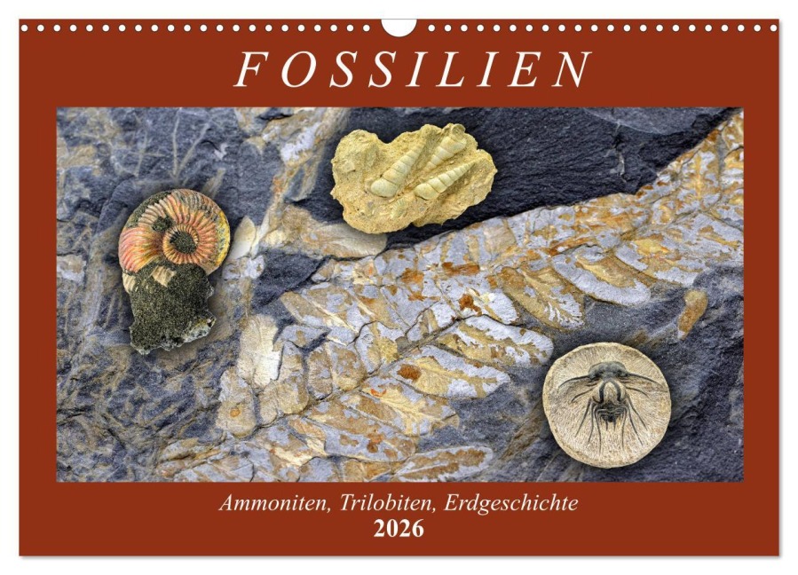 Fossilien - Ammoniten, Trilobiten, Erdgeschichte (Wandkalender 2026 DIN A3 quer), CALVENDO Monatskalender - Anja Frost