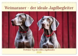 Cover-Bild zum Titel 'Weimaraner - der ideale Jagdbegleiter (Wandkalender 2026 DIN A3 quer), CALVENDO Monatskalender' von 'Claudia Kleemann'