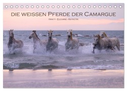 Cover-Bild zum Titel 'Die weißen Pferde der Camargue (Tischkalender 2026 DIN A5 quer), CALVENDO Monatskalender' von 'Stephan Peyer'