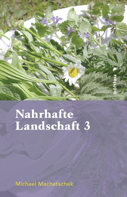 Nahrhafte Landschaft 3 - Michael Machatschek