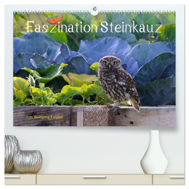 Faszination Steinkauz (hochwertiger Premium Wandkalender 2026 DIN A2 quer), Kunstdruck in Hochglanz - Wolfgang Lequen