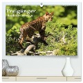 Freigänger - Hauskatzen unterwegs (hochwertiger Premium Wandkalender 2025 DIN A2 quer), Kunstdruck in Hochglanz - Werner Schmäing