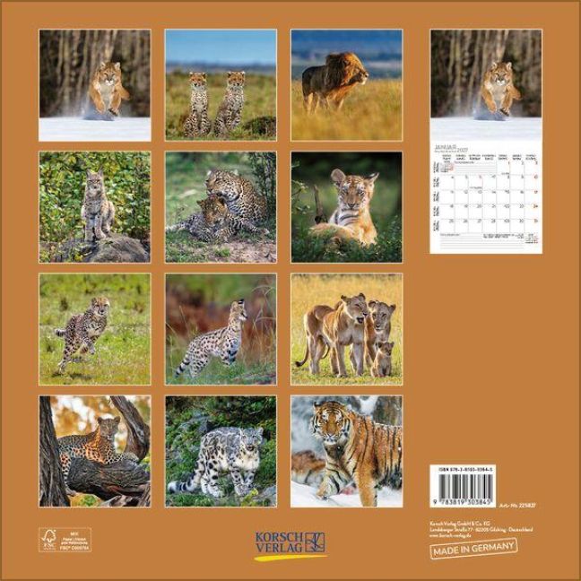 InsideView 13