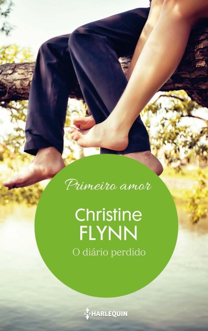 O diário perdido - Christine Flynn