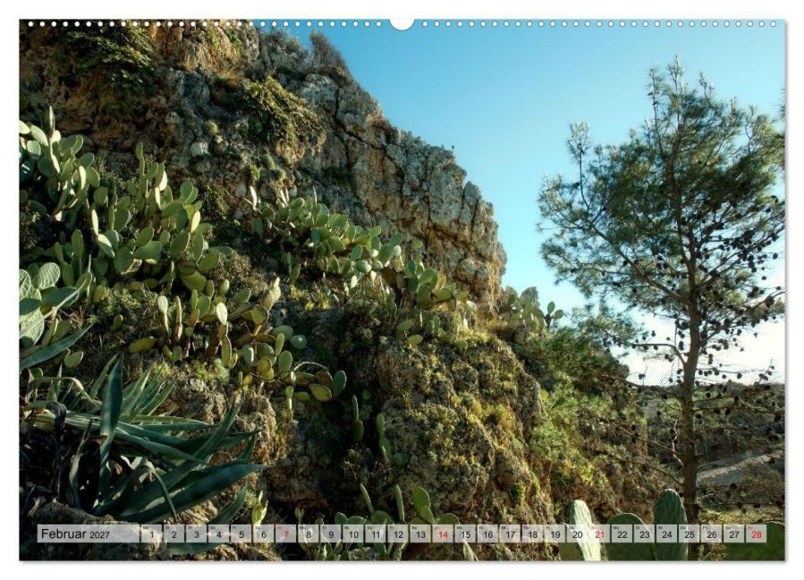 InsideView 6