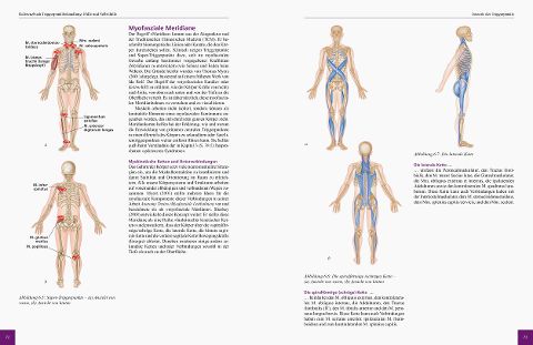 InsideView 4
