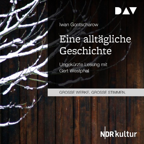 Eine alltägliche Geschichte - Iwan Gontscharow