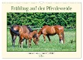 Frühling auf der Pferdeweide (Wandkalender 2024 DIN A3 quer), CALVENDO Monatskalender - Claudia Kleemann