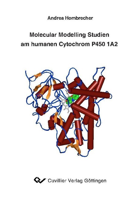 Molecular Modelling Studien am humanen Cytochrom P450 1A2 - 