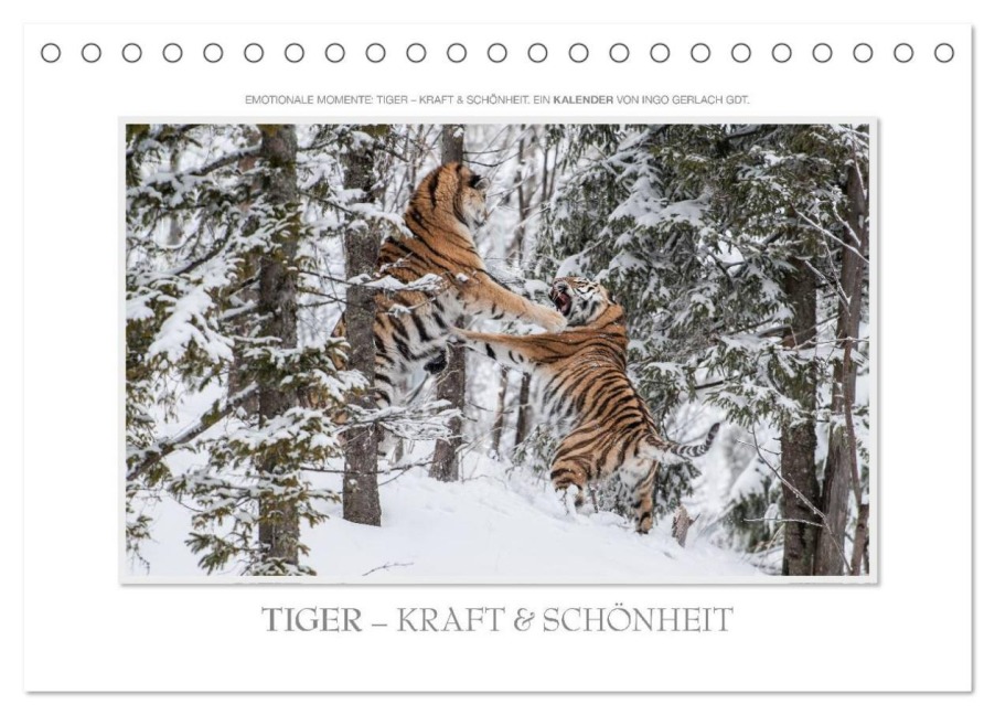 Emotionale Momente: Tiger - Kraft & Schönheit. / CH-Version (Tischkalender 2026 DIN A5 quer), CALVENDO Monatskalender - Ingo Gerlach GDT