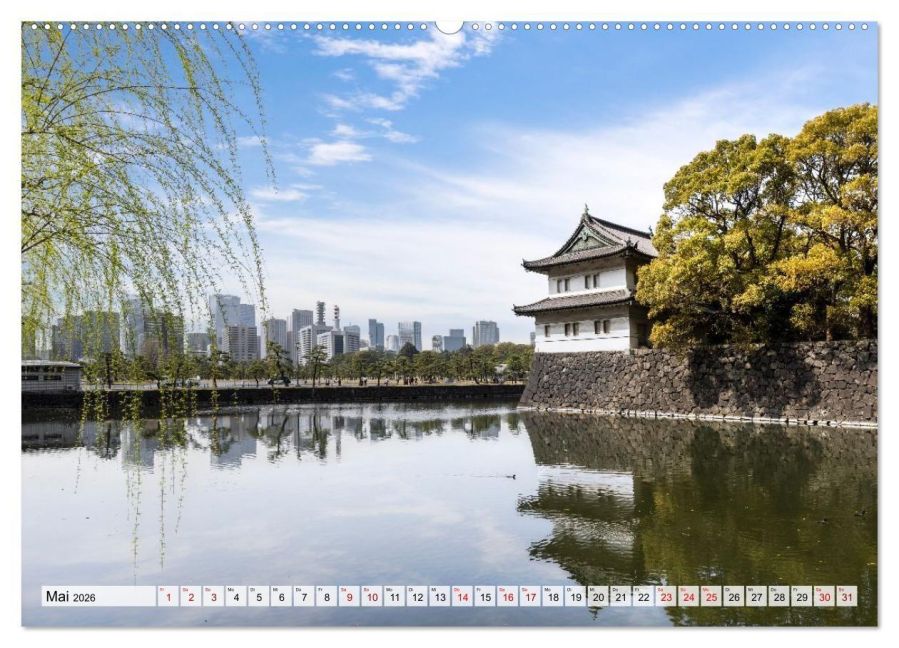 InsideView 9