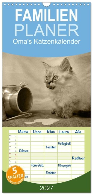 Familienplaner 2027 - Oma's Katzenkalender 2027 mit 5 Spalten (Wandkalender, 21 x 45 cm) CALVENDO - Sylvia Säume