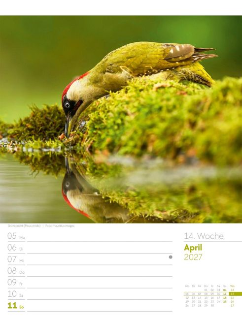 InsideView 18