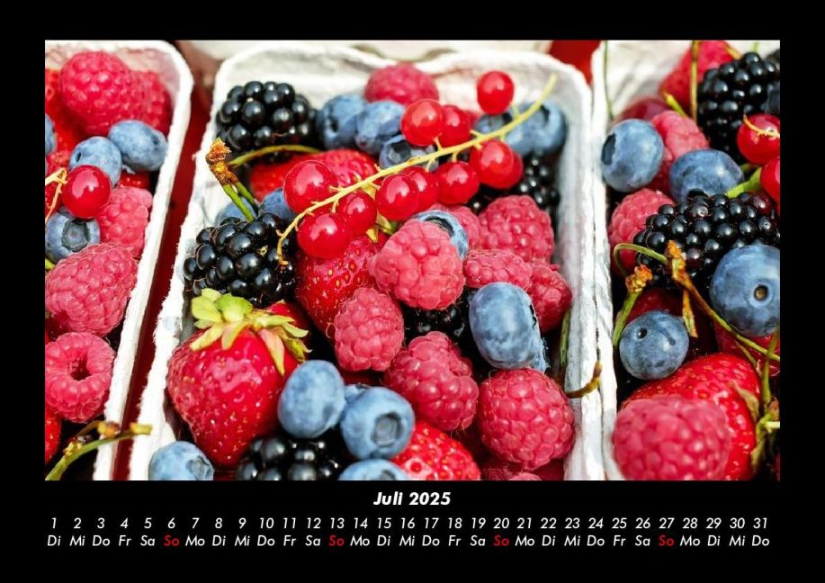 InsideView 11