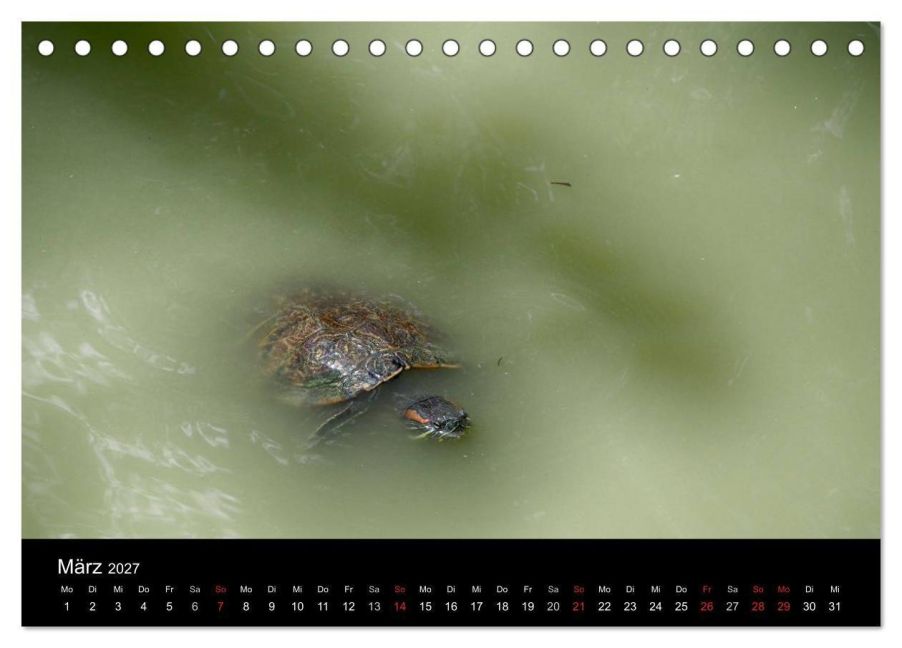 InsideView 8