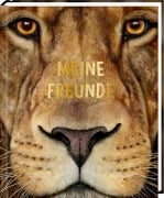 Cover-Bild zum Titel 'Freundebuch - Meine Freunde' von ''