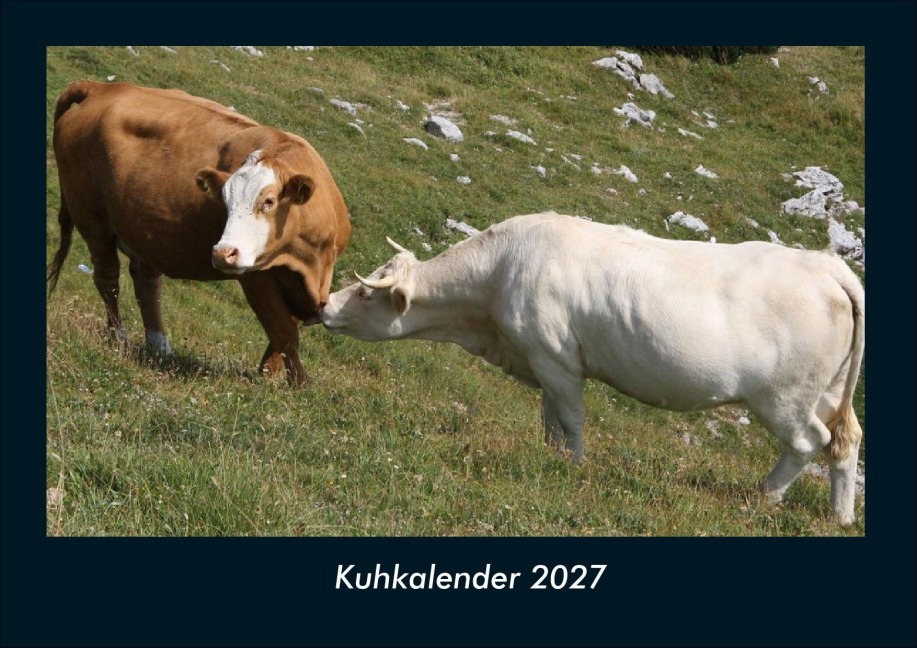 Kuhkalender 2027 Fotokalender DIN A4 - Tobias Schmitt, Kevin Heber