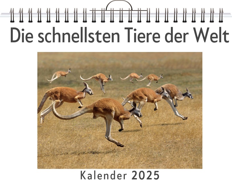 Die schnellsten Tiere der Welt - Lucy Werner