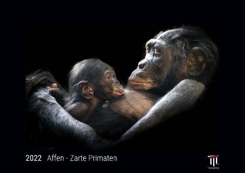Affen - Zarte Primaten 2022 - Black Edition - Timokrates Kalender, Wandkalender, Bildkalender - DIN A4 (ca. 30 x 21 cm) - 